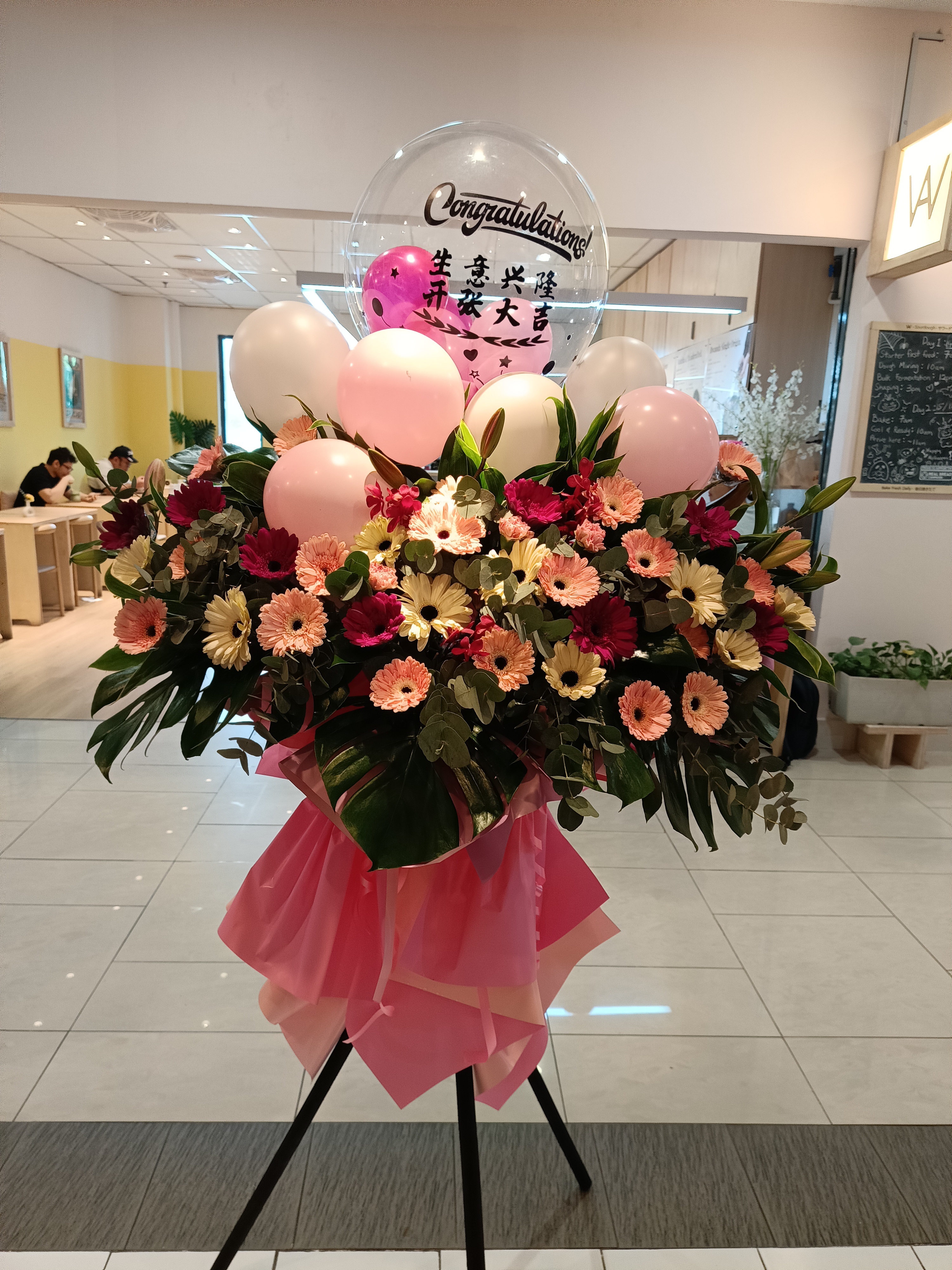 Grand Opening - GO41