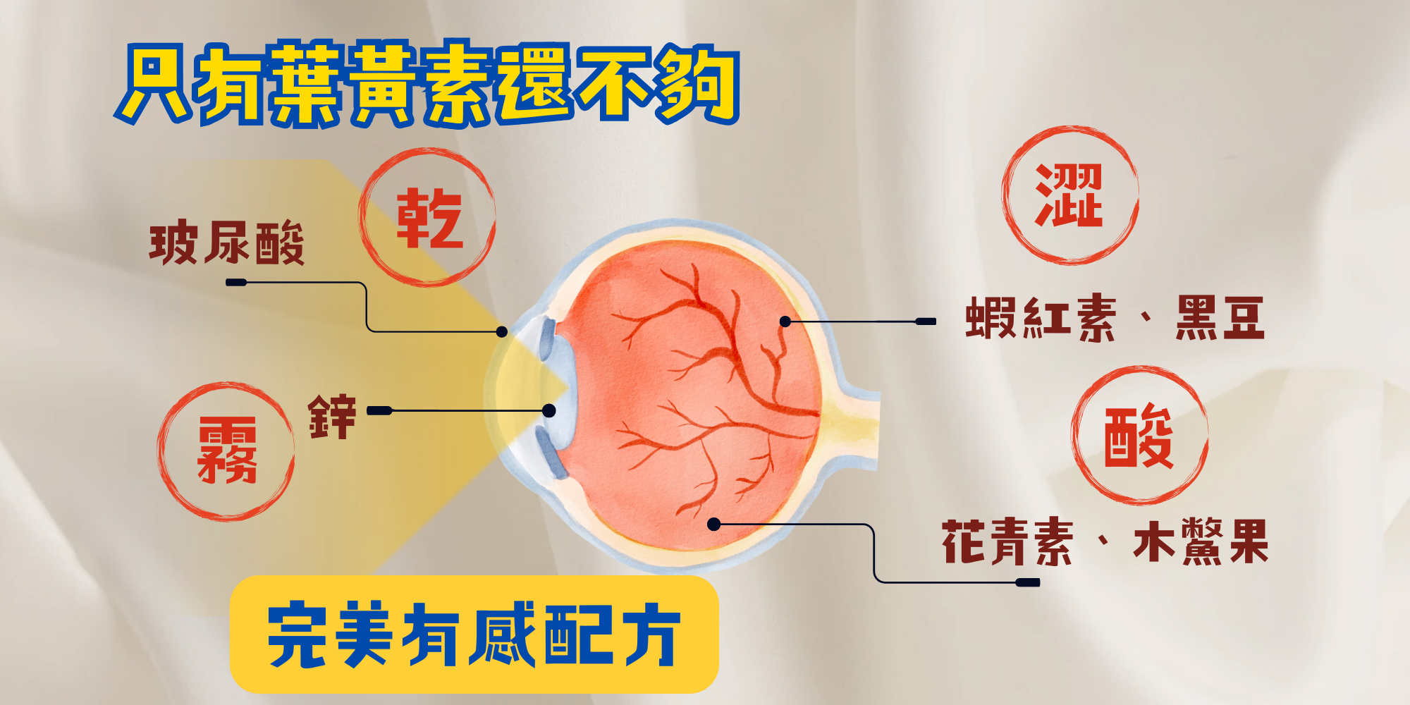 合田明亮葉黃素凍