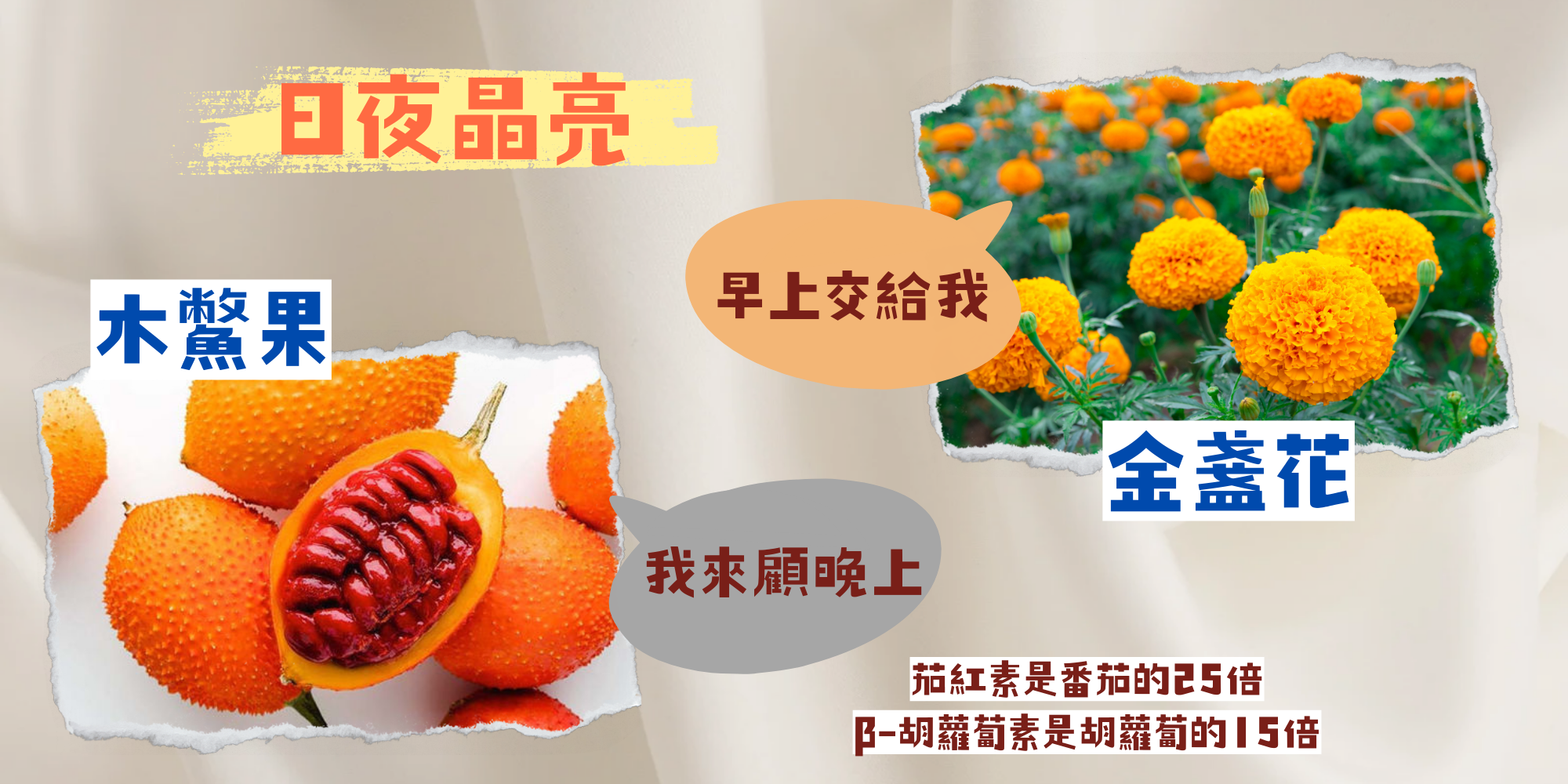 合田明亮葉黃素凍