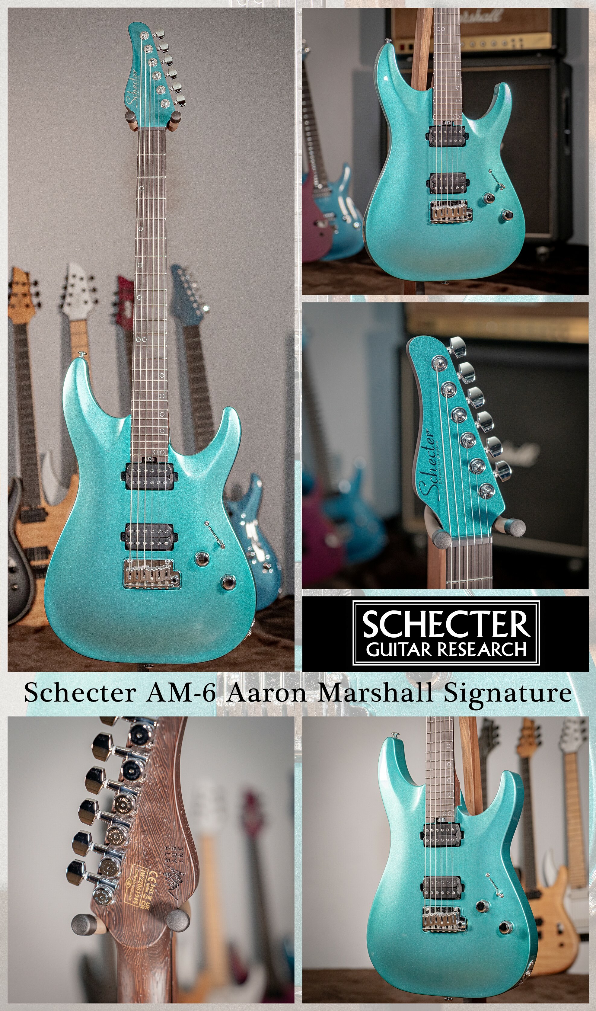 簽名款 Schecter Aaron Marshall AM-6 雙雙 小搖座 電吉他