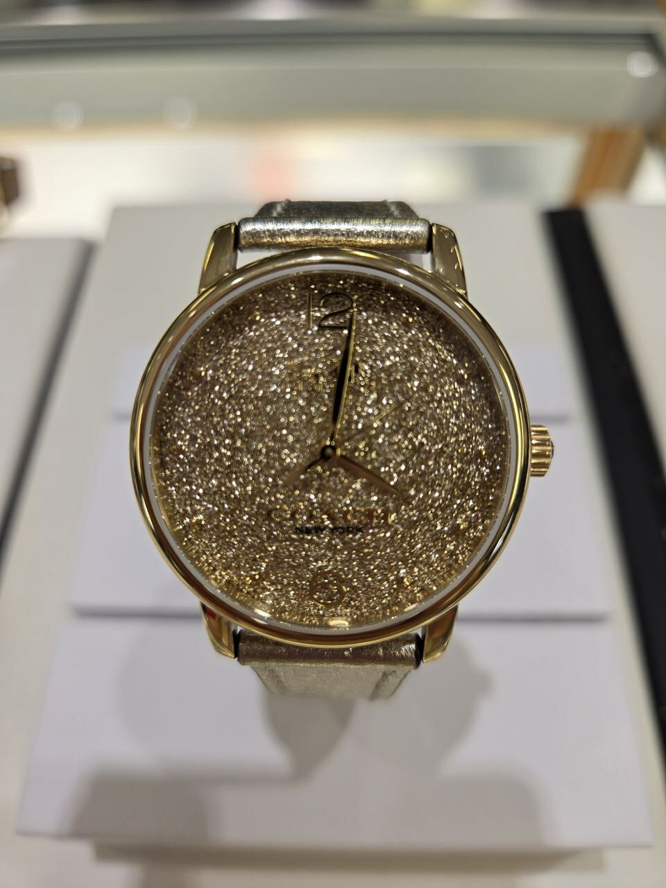 [S] LUXURY WATCH COACH 14504432 GRAND 36MM WOMEN'S WATCH STAINLESS STEEL CHARCOAL PVC STRAP,CHARCOAL, 885997585491 (SZZ512)