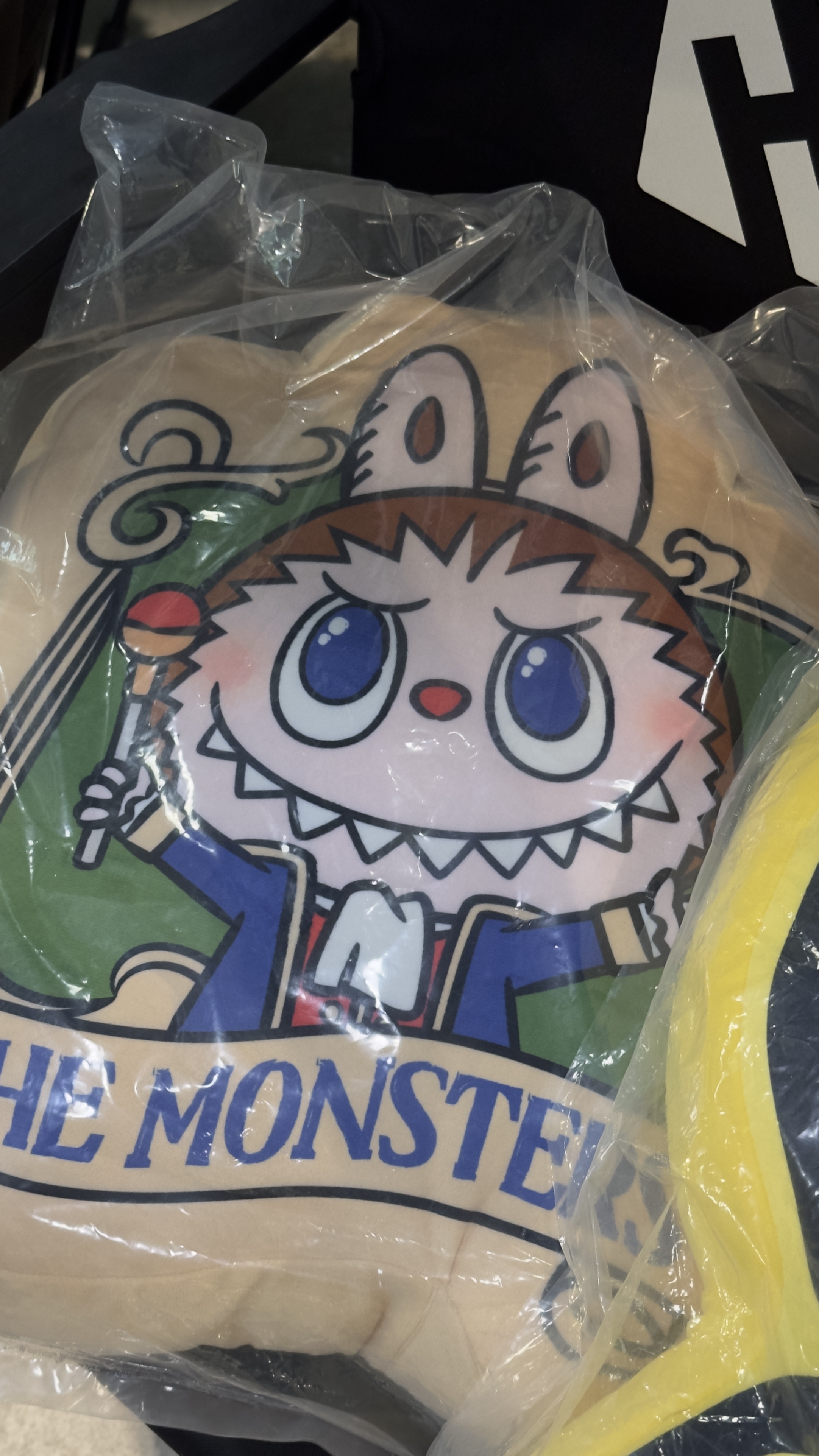 【現貨】POP MART 泡泡瑪特 THE MONSTERS LABUBU 北京樂園 賞品 抱枕 靠枕