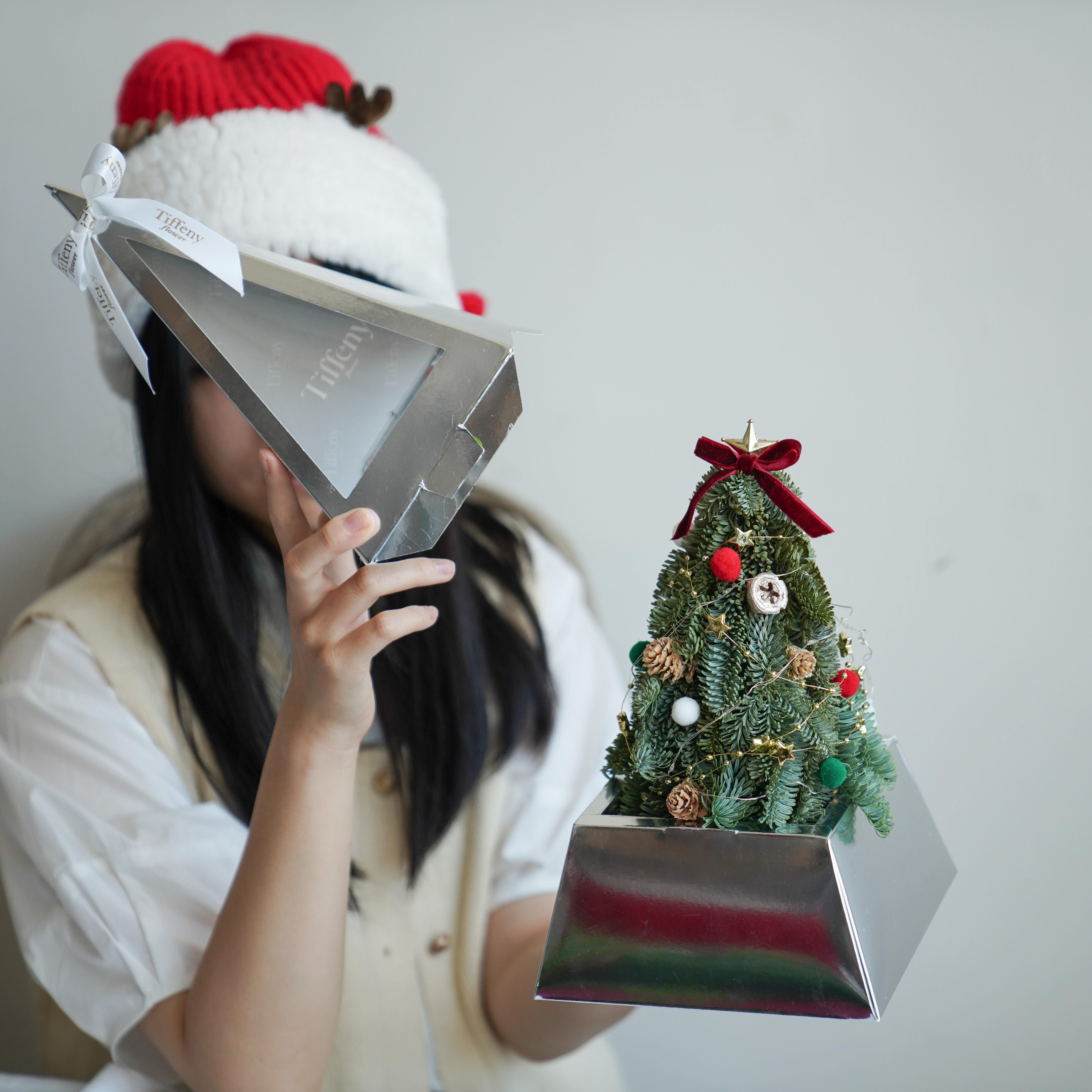 【 永生 】可愛永生松聖誕樹