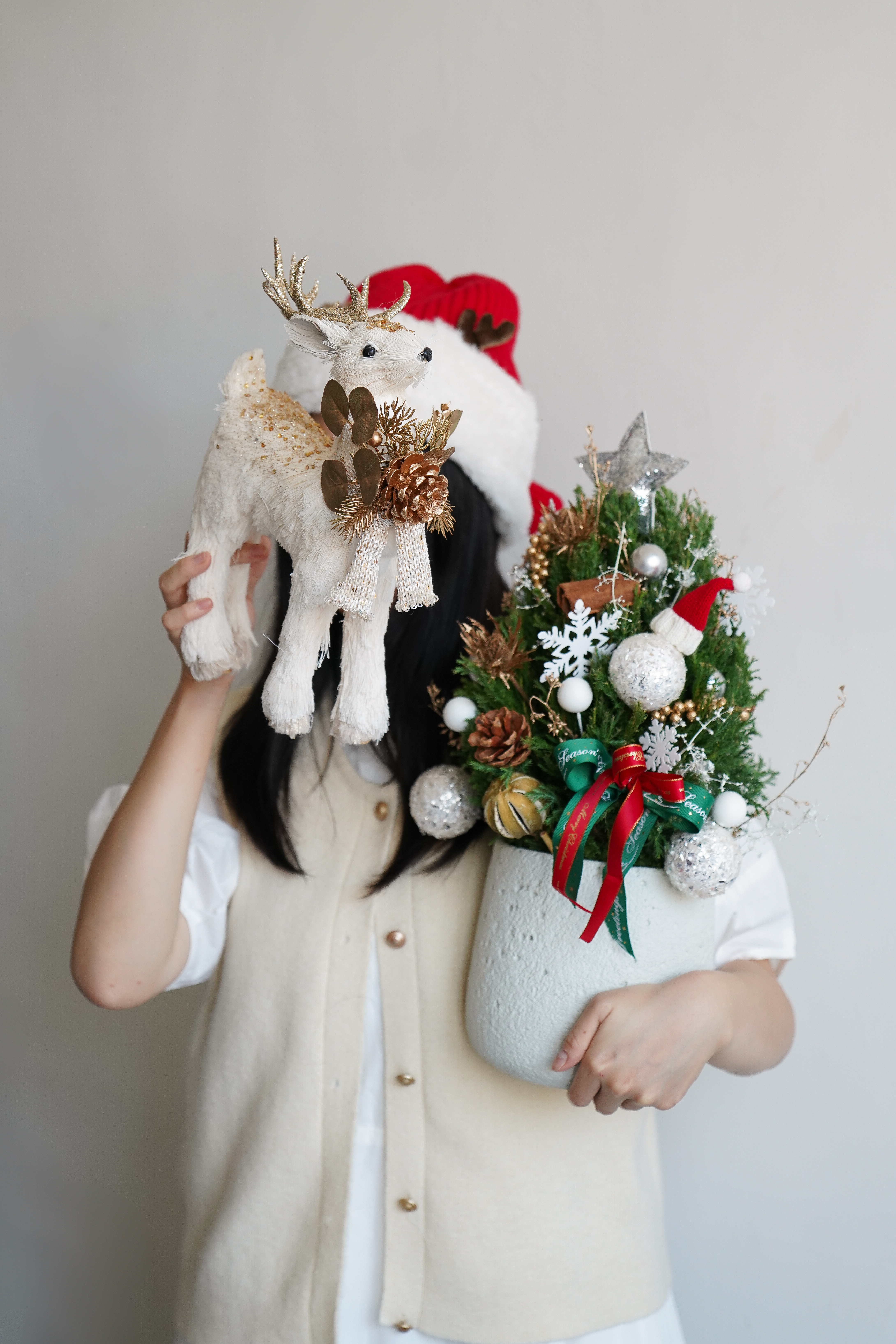 活生生的聖誕松柏盆栽