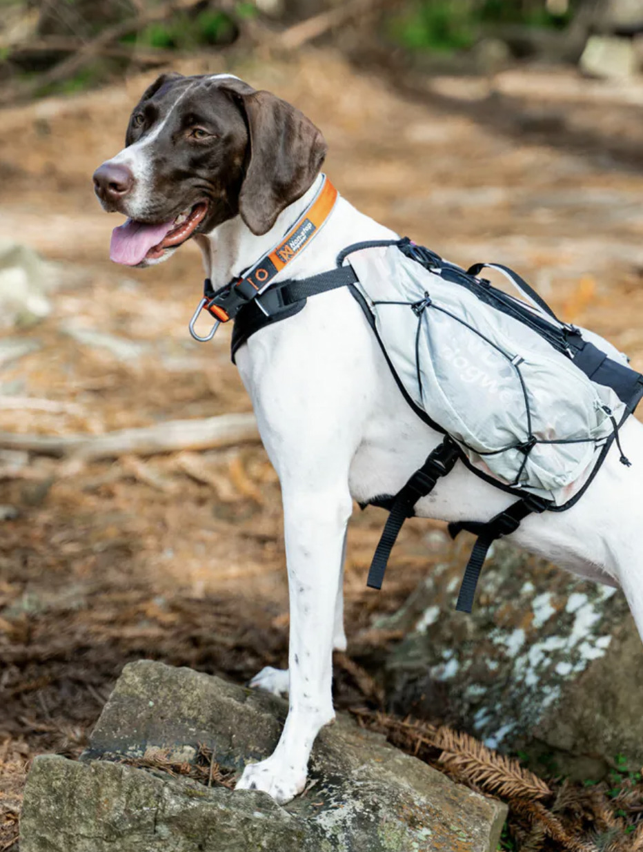 【Non-stop dogwear】TRAIL 輕盈登山包胸背帶