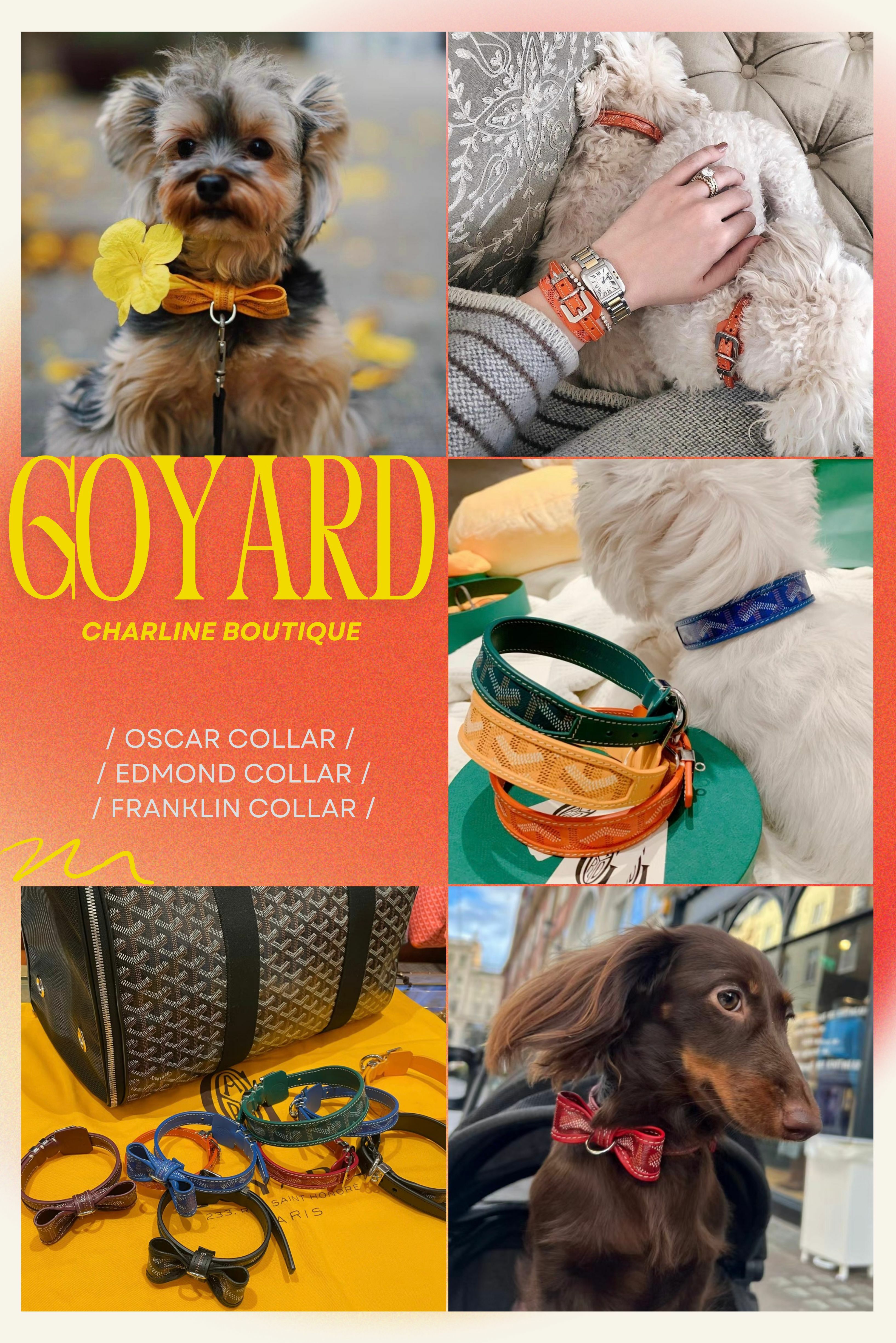 首先登場的是每個毛孩都需要的—Goyard頸圈！每天都能配戴的頸圈成為寵物配件的基本入門款，因為使用率高CP值也超高！Goyard更是推出以下三款經典頸圈：  1.Oscar Collar頸圈，長度可以調節外還有三種尺碼可以選擇，較適合小型犬或是貓咪們使用。最可愛的就是其蝴蝶結外觀，立體的造型十分迷人，上頭還有一個扣環，可以用來連結牽繩或是用來掛毛孩專屬的姓名金屬牌都沒有問題！    2.Edmond Collar頸圈，跟第一款一樣較適合小型犬或是貓咪們使用，不同的是這款更加的細緻簡約，沒有Oscar 的蝴蝶結裝飾，推薦給喜歡簡約風的寵物們，尺寸選擇也比較多，共有六種尺寸可以參考，絕對能找到您毛孩適合的喔。    3.Franklin Collar頸圈，這款寬度較前面兩者來的寬，是較適合大型犬或是頸部較粗的狗狗。在尺寸上則有三種尺寸可以選，貼心的寬版設計在大型犬身上配戴也比較舒適，頸圈上頭一樣有扣環，想要搭配同色系的牽繩一樣沒問題的！