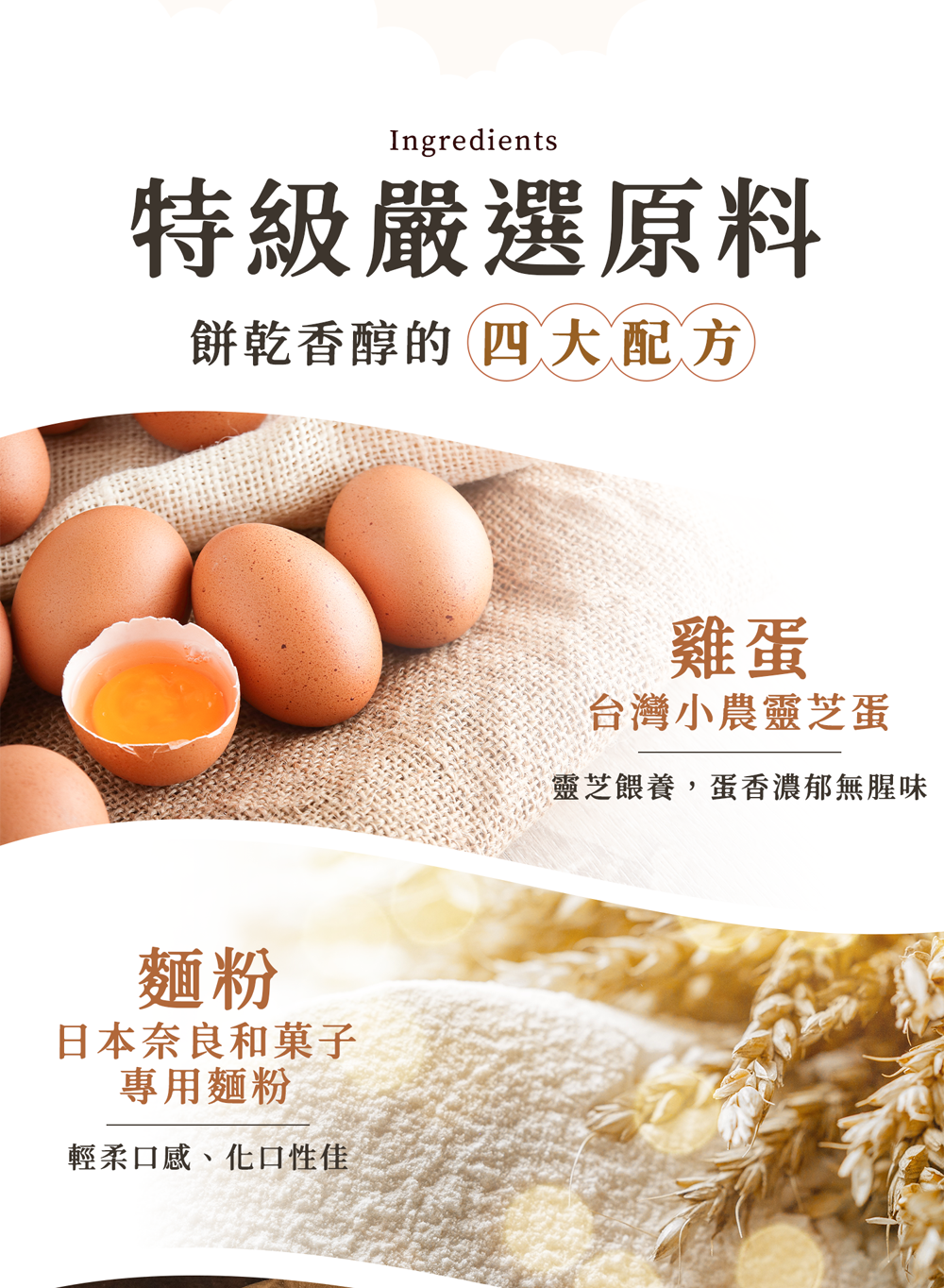 伴手禮盒推薦,2025新年禮盒,台中伴手禮盒,鐵盒餅乾,夾心餅乾,雲朵蛋糕