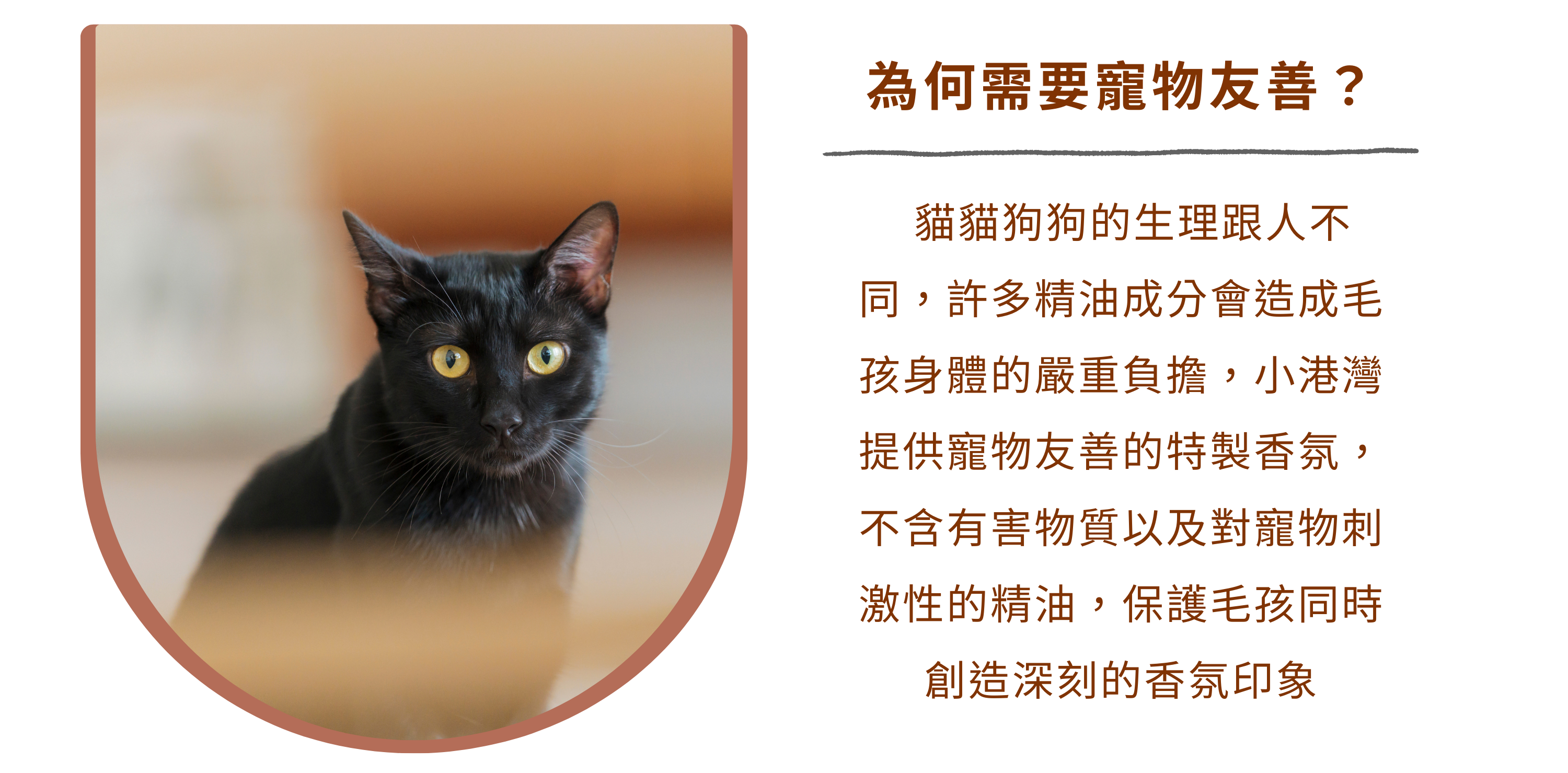 擴香,香氛,貓,寵物友善,居家香氛,無毒,純精油,天然精油,送禮,情人節禮物,母親節禮物,交換禮物,療癒,辦公室小物,幼兒,SGS,折扣碼