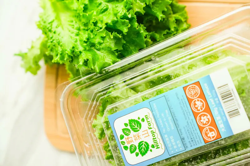 香港水耕種沙律菜系列