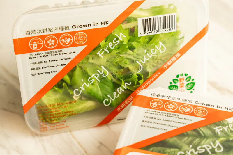 香港水耕種沙律菜系列