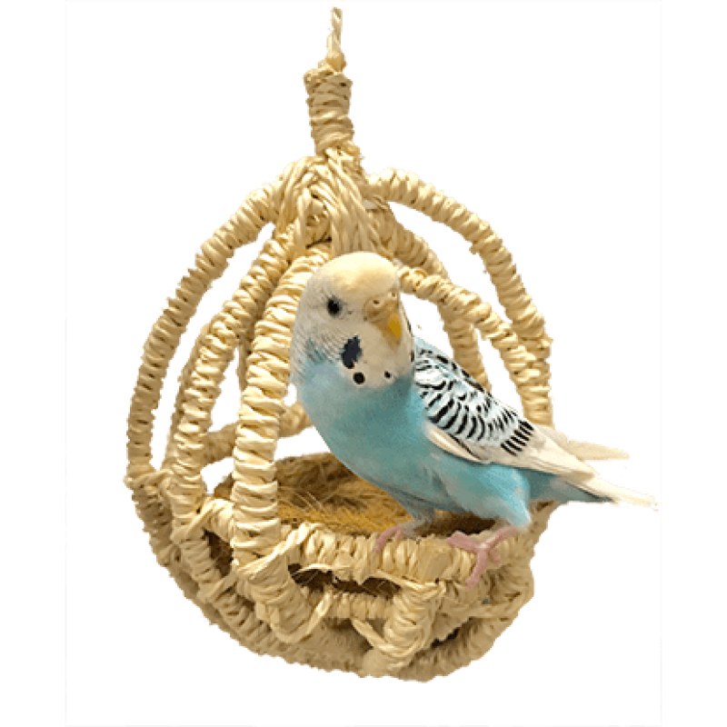 Kawai 小型鸚鵡滕窩