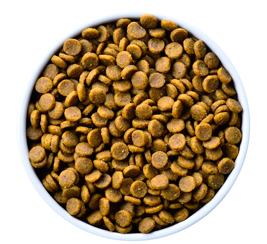 Hill's - 處方食品犬用腎臟護理配方 (8.5磅)