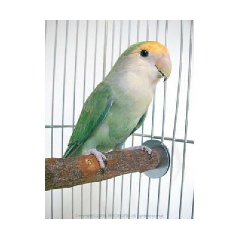 Kawai 印楝木站棍 - S