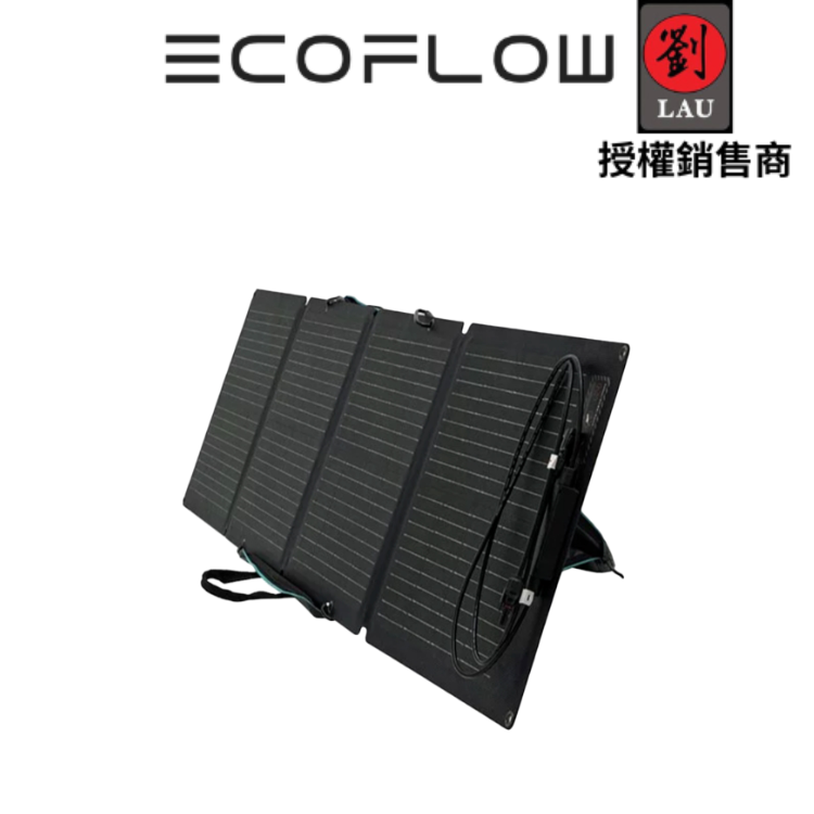 EcoFlow 110W 太陽能板