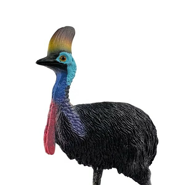 collectA 南方鶴鴕(食火雞)~英國高擬真模型-R88651
