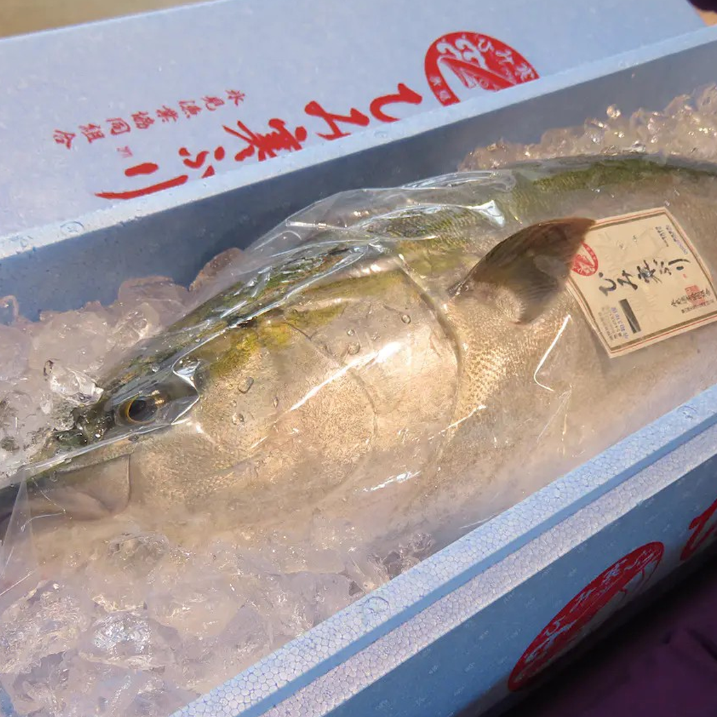 冰見寒鰤ひみ寒ぶり