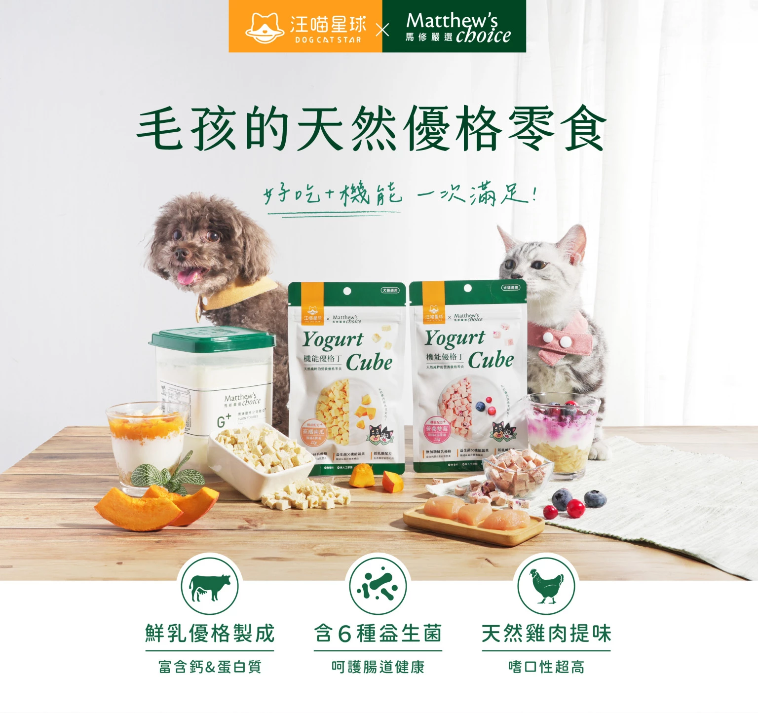 汪喵星球 機能優格丁 Yogurt for pet