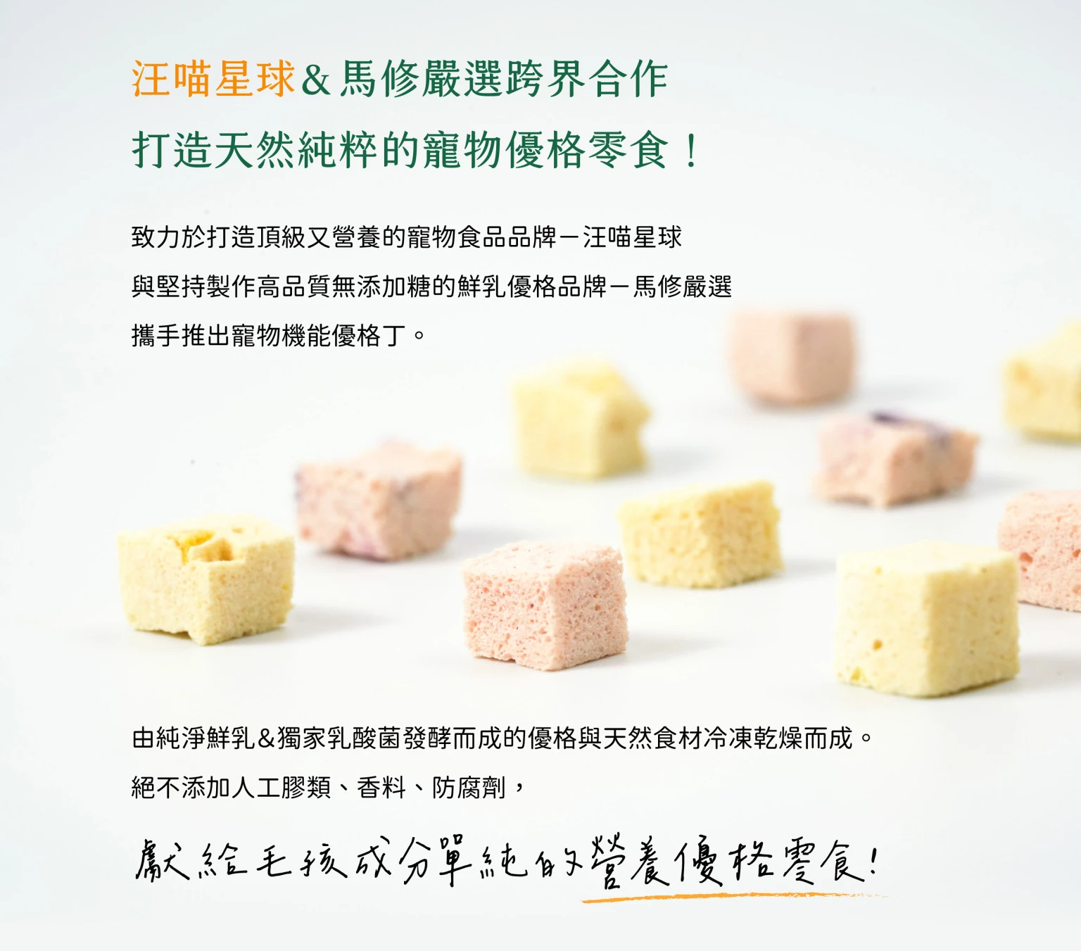 汪喵星球 機能優格丁 Yogurt for pet