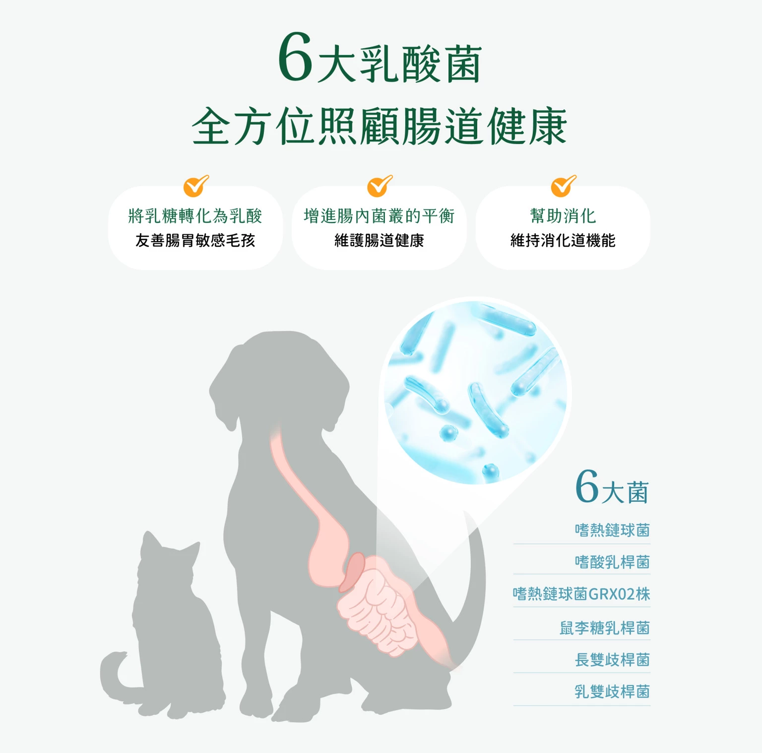 汪喵星球 機能優格丁 Yogurt for pet