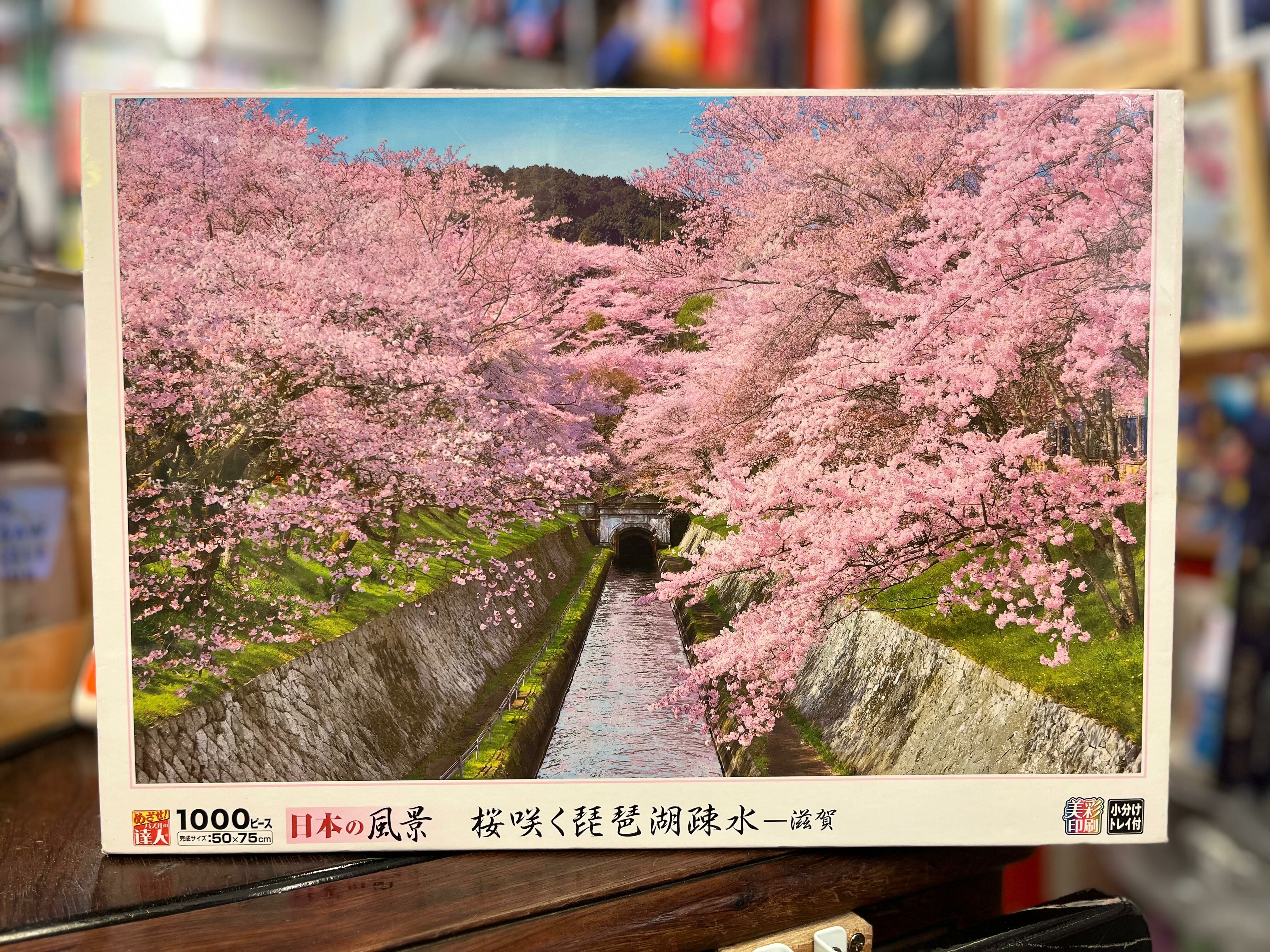 滋賀-桵花盛開的琵琶湖運河 (絕版)