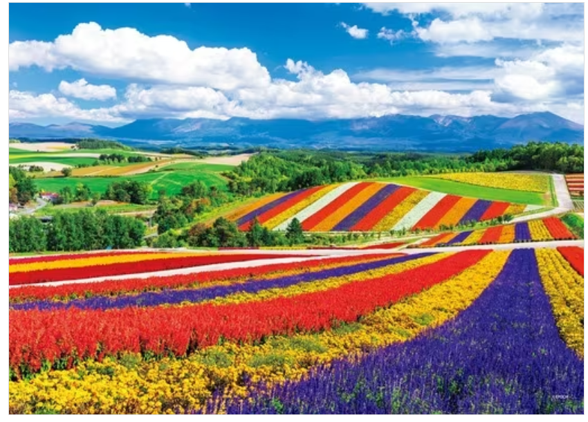 四季虹彩之丘-北海道 (世界最小)