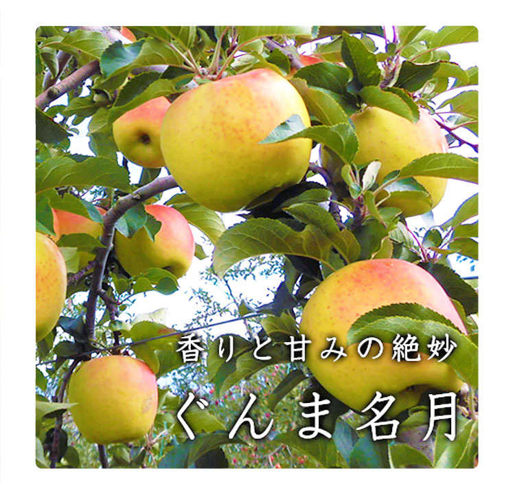 日本水果, 名月蘋果, japan fruit, apple