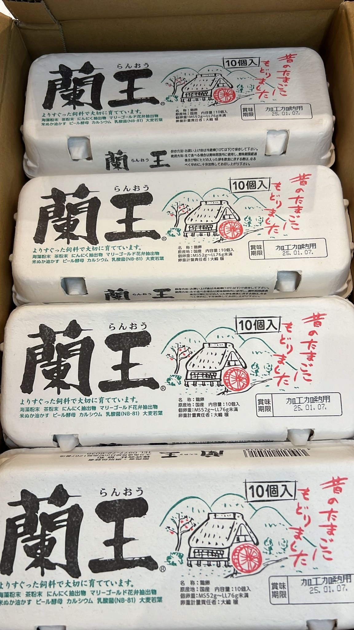 日本蘭王蛋