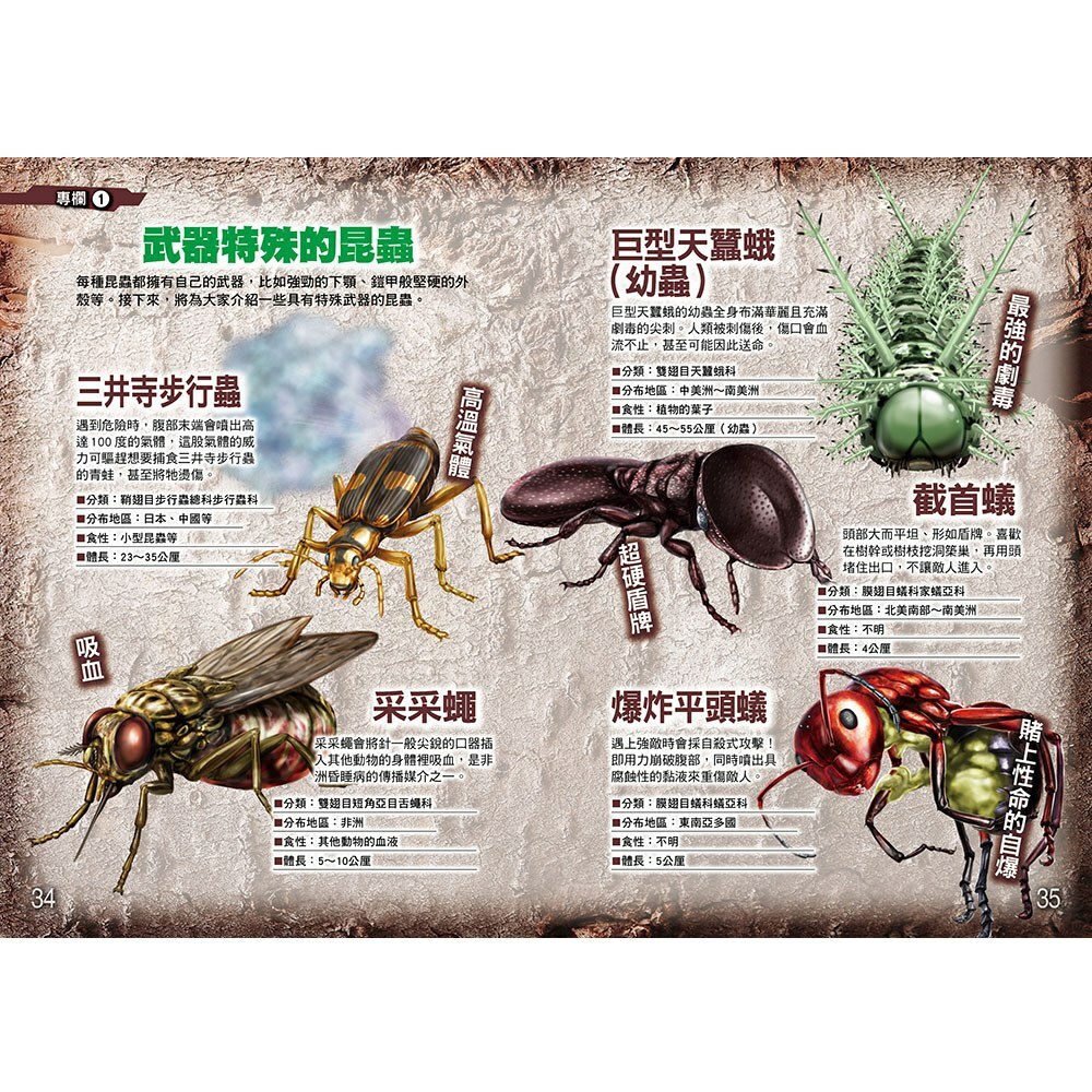 昆蟲最強王圖鑑(新版)