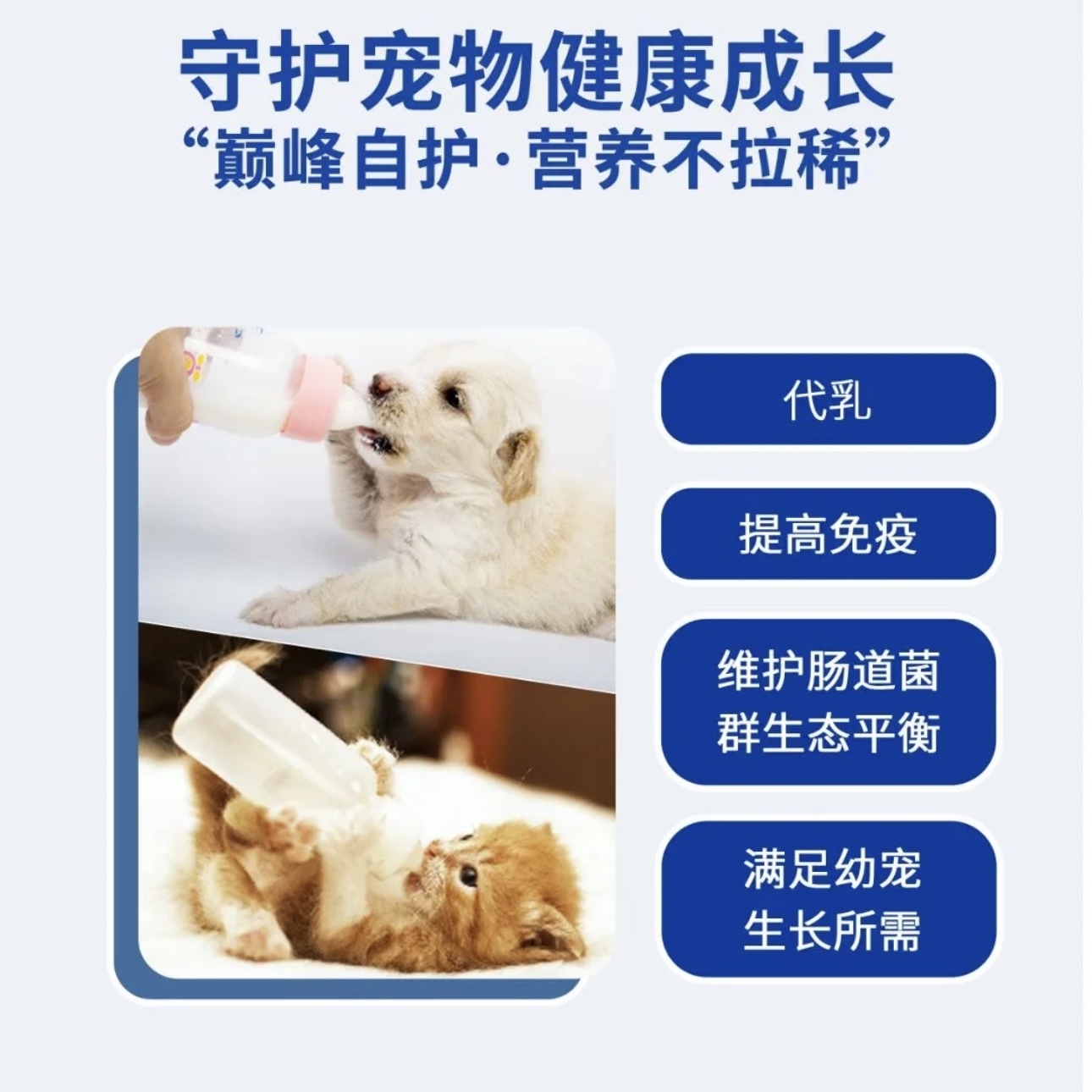 VETWISH唯特适宠物营养补充剂 臻萃亲和羊奶粉 金装版犬用 400g