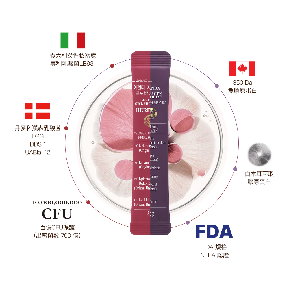 【怦彈呵護 四入燙金禮盒】膠原蛋白+女性益生菌