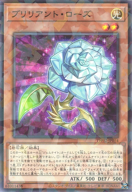 TW02-JP054 ブリリアント・ローズ(明亮玫瑰)