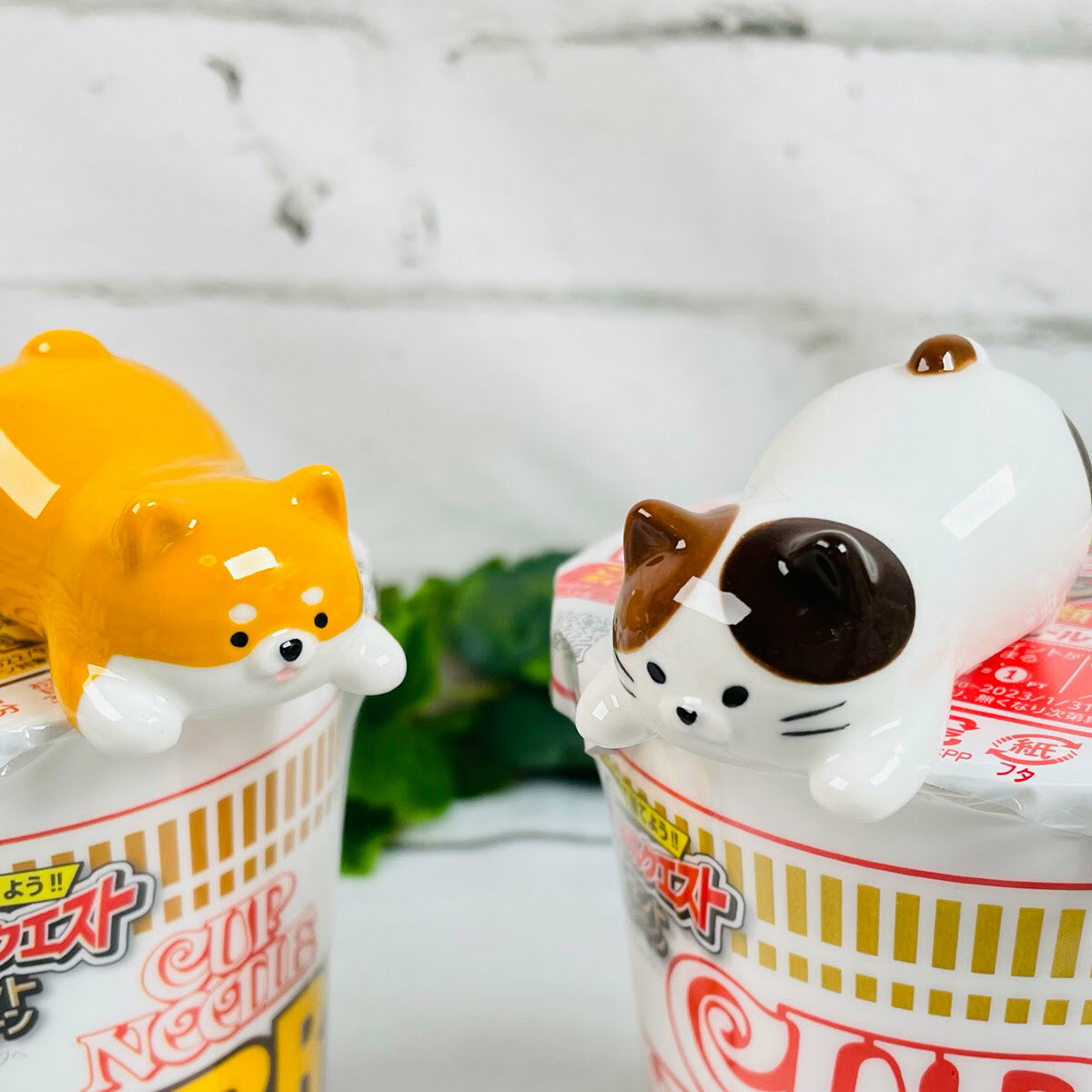 JP 柴犬貓貓 陶瓷杯麵蓋神器 9713 9720 M011126