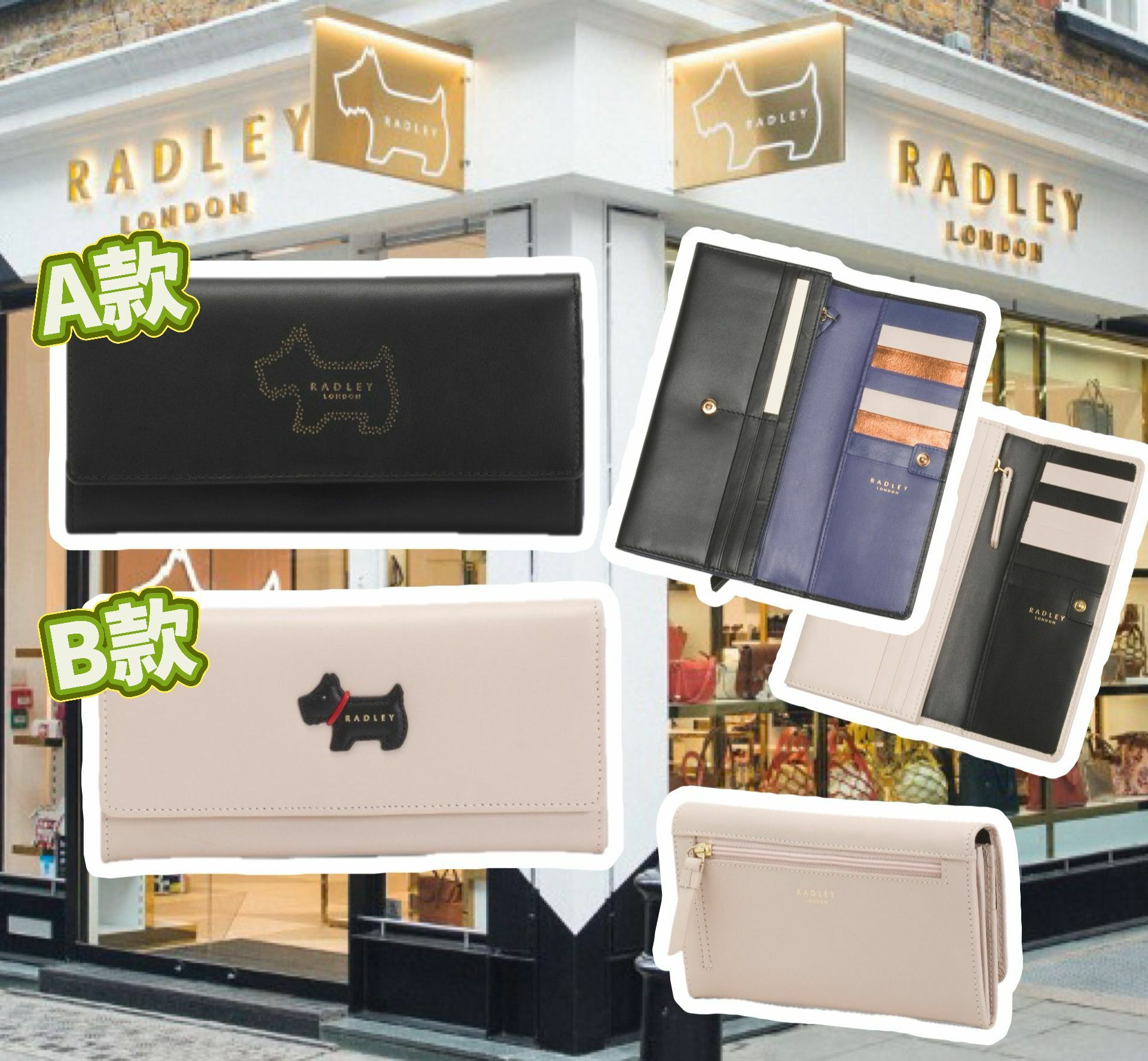 【預購】RADLEY LONDON G112605 長銀包