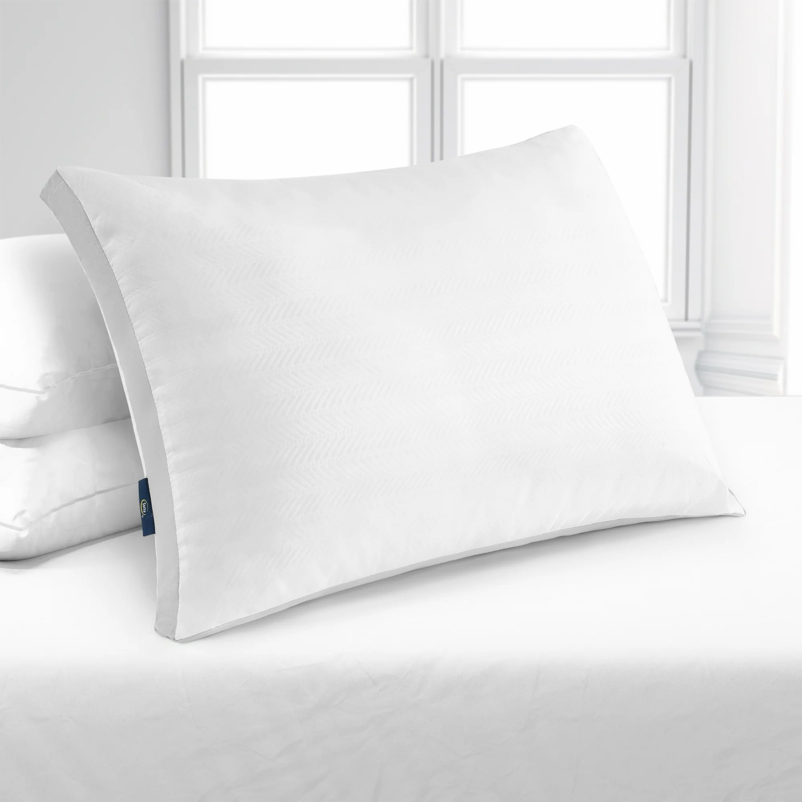 【預購】Sertapedic Dreamloft G112612 枕頭