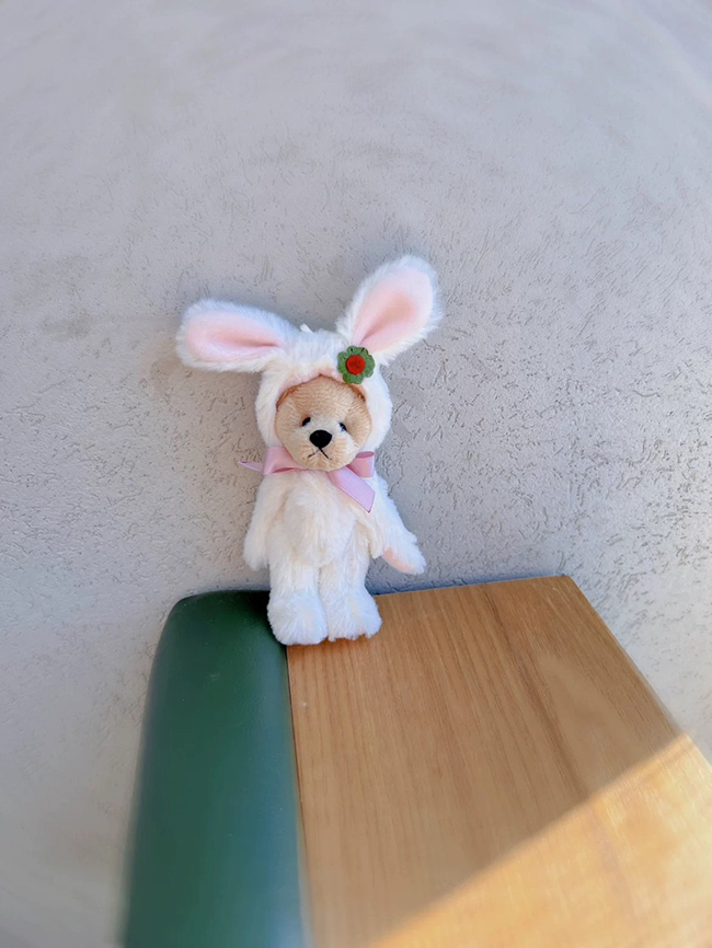 熊熊裝扮掛飾-預購