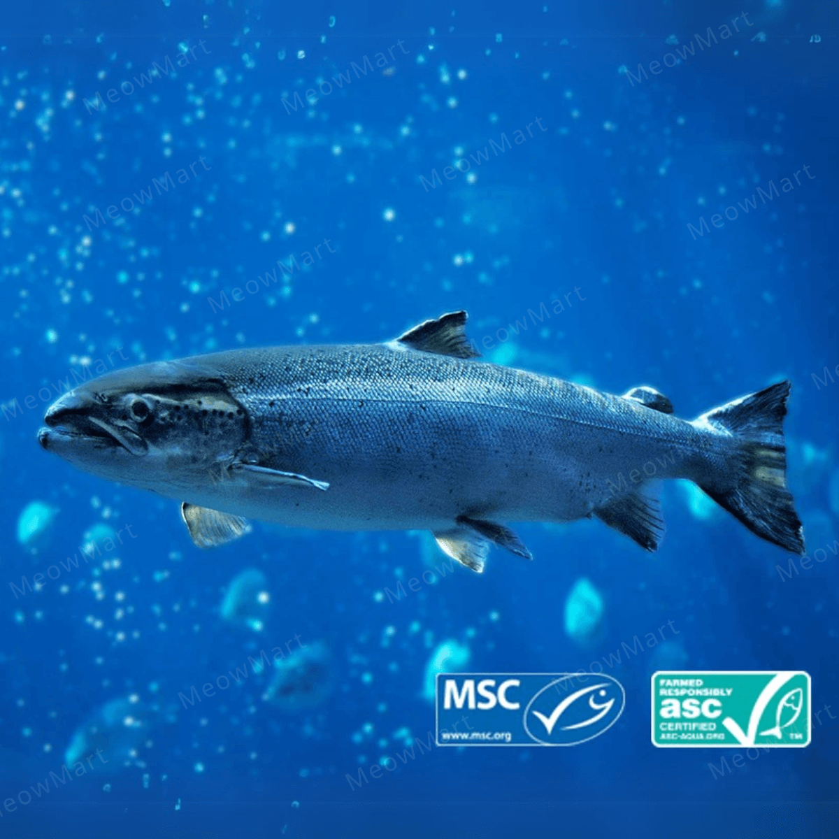 OPEN FARM 滋味貓咪糧伴慕斯