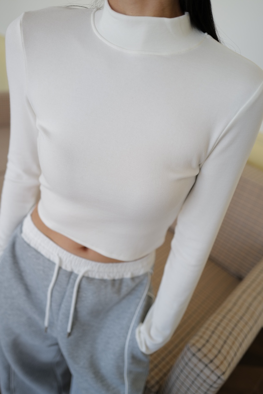 立領磨毛百搭打底衣*5色