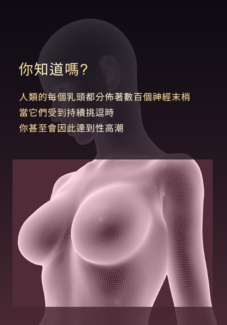UPKO｜震動乳橋&私處夾套裝｜BDSM調教道具