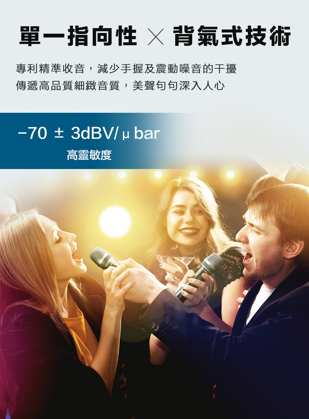 單一指向性、背氣式技術