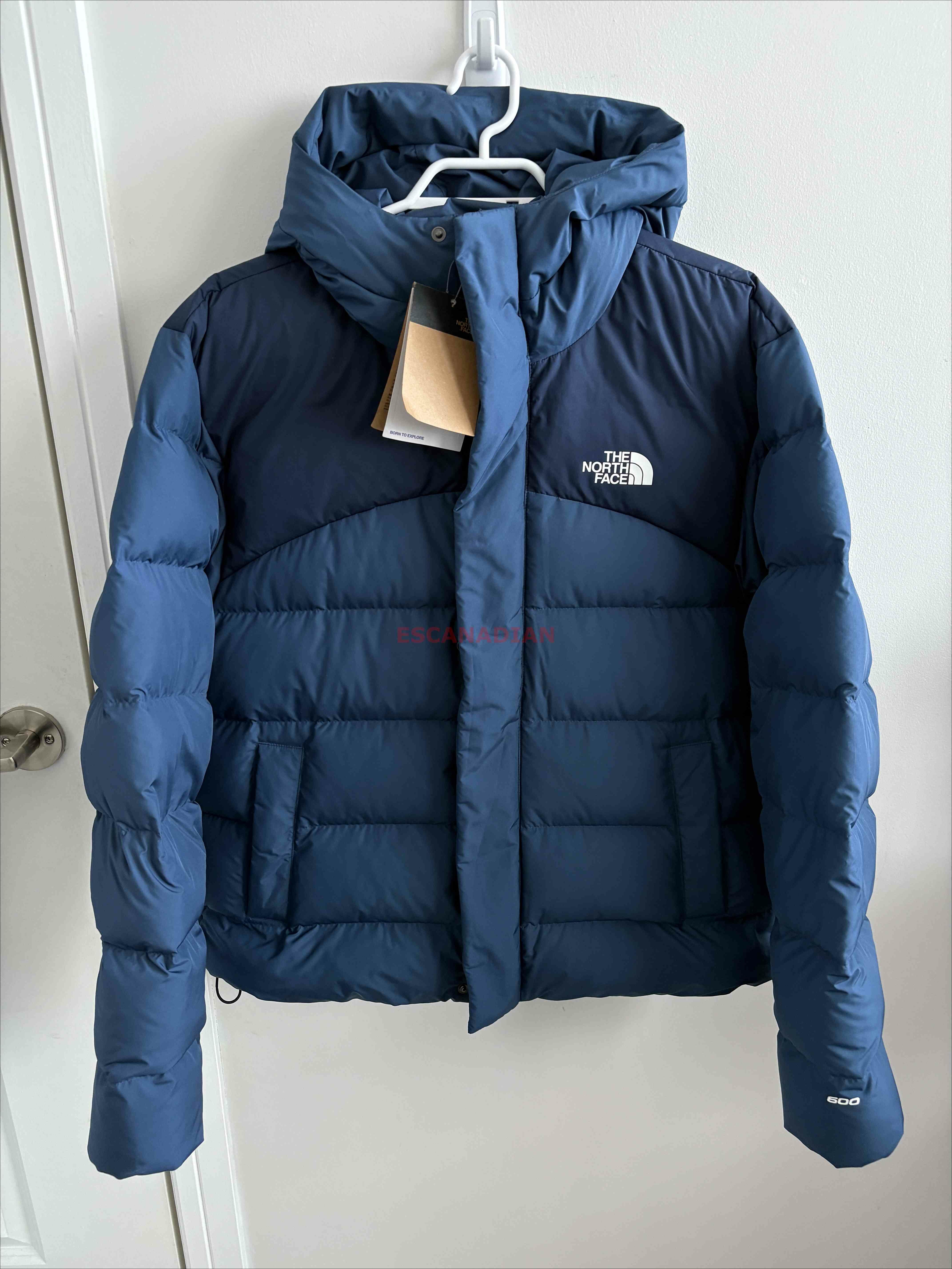 THE NORTH FACE 男大人 Baltic Puffer系列 防潑水 600蓬鬆羽絨 連帽外套