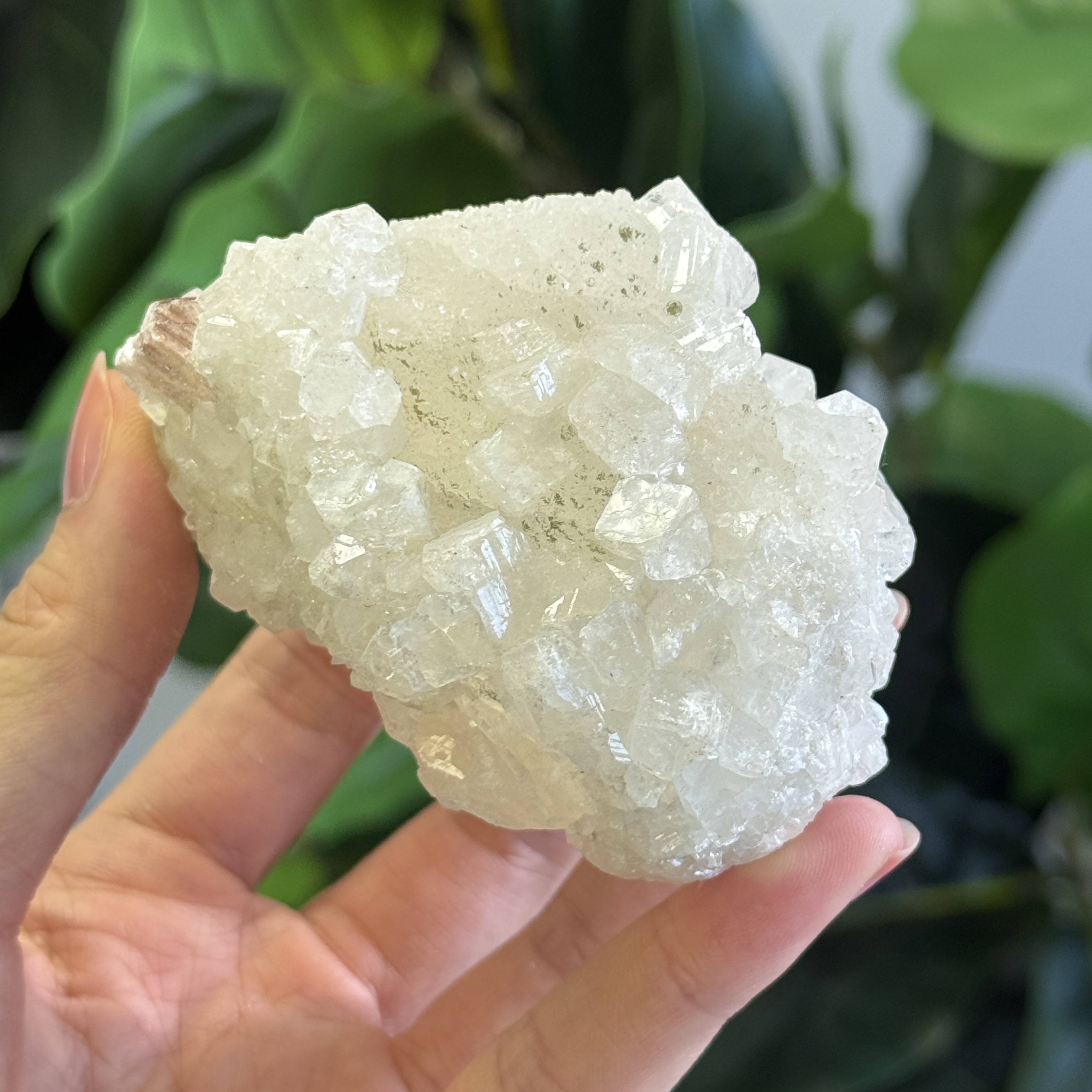 魚眼石 330g AP1530