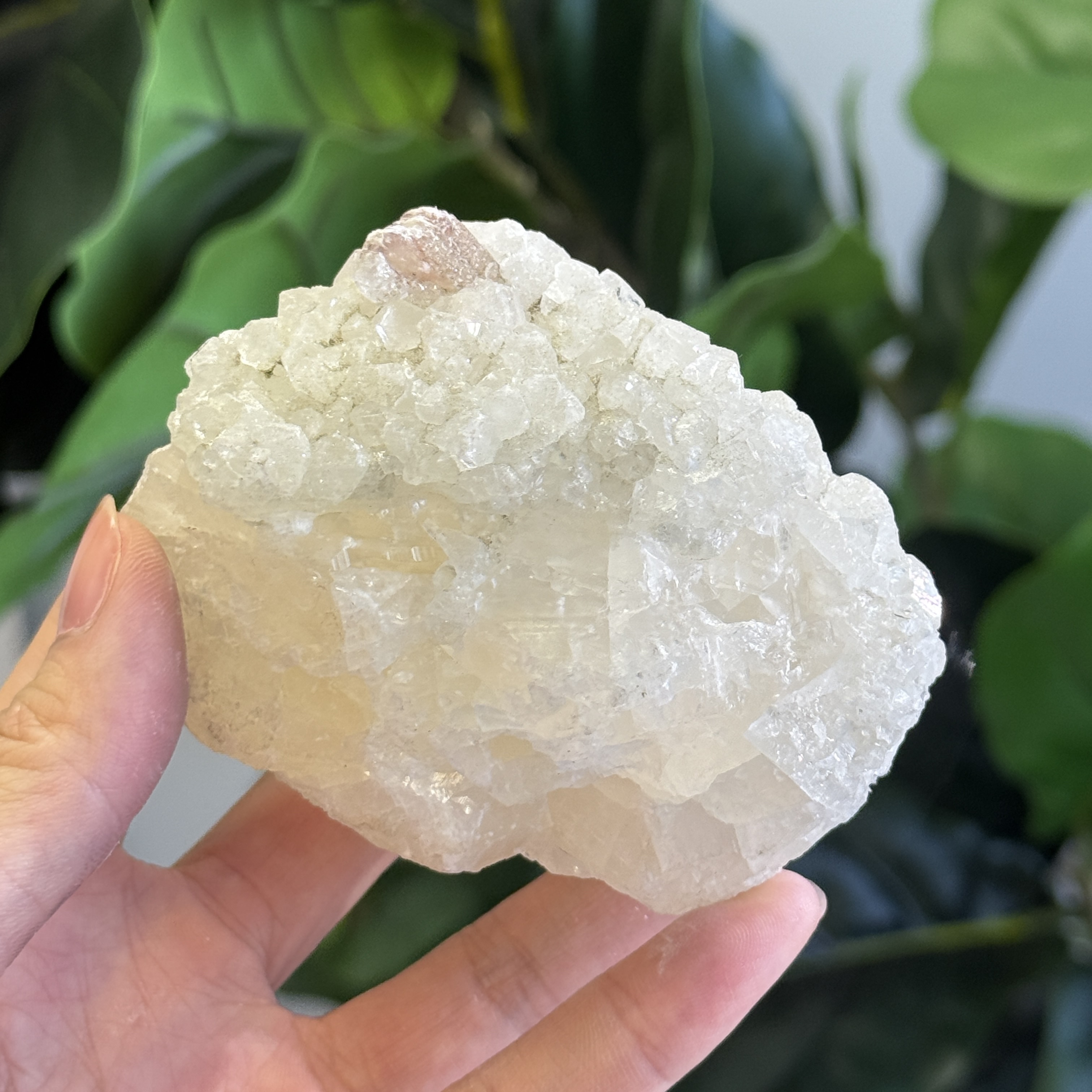 魚眼石 330g AP1530