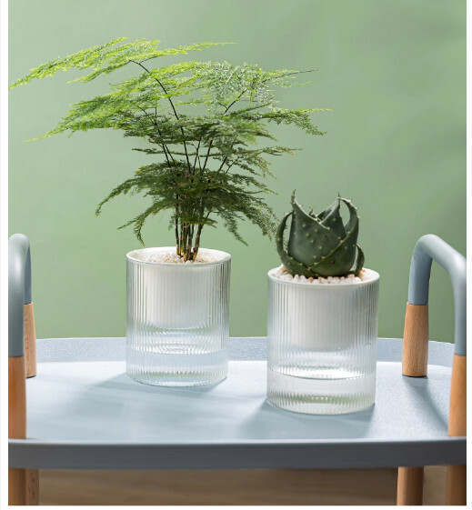 水培植物自動吸水花盆--水耕花樽 水養盆器【大號口徑15cm】1件