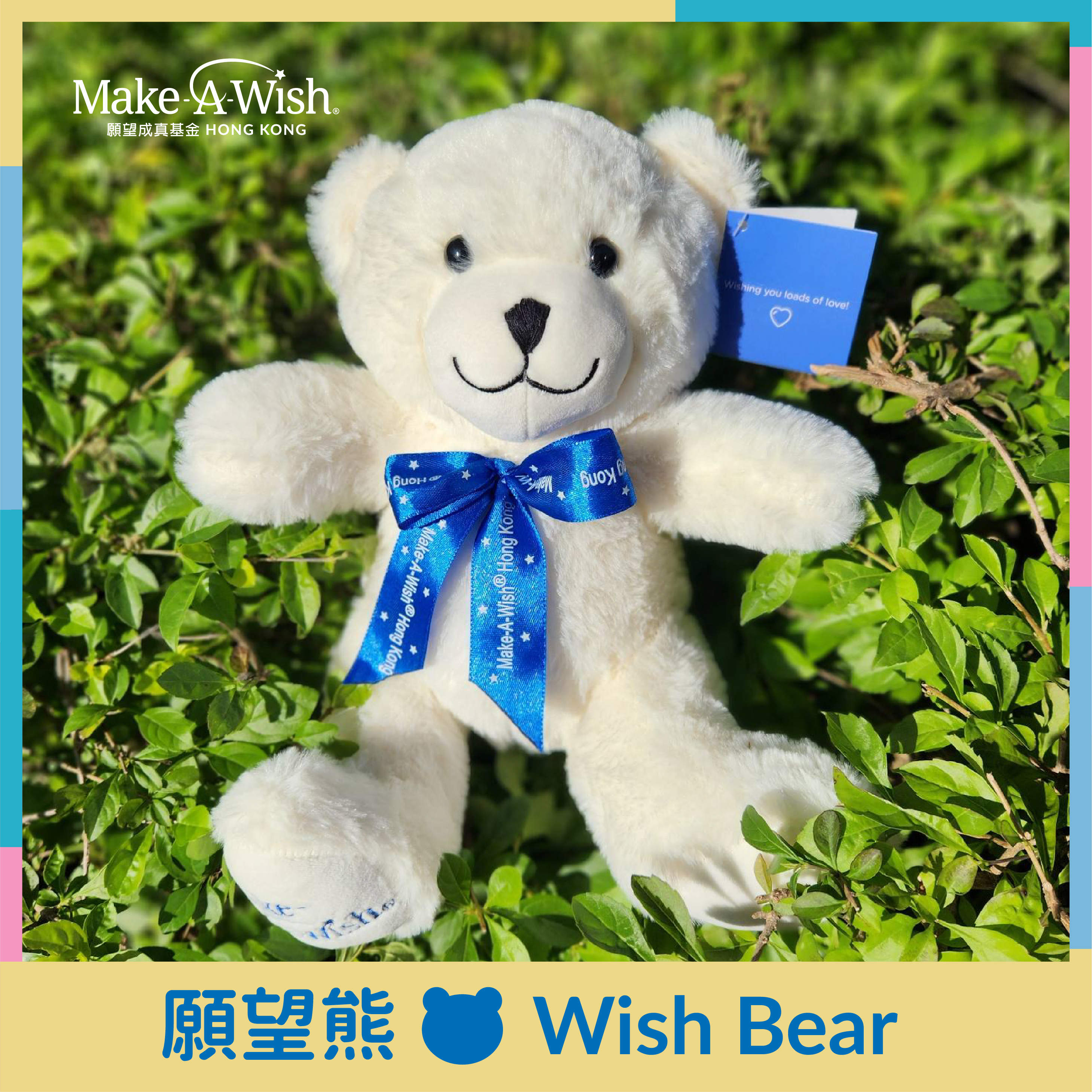 願望熊