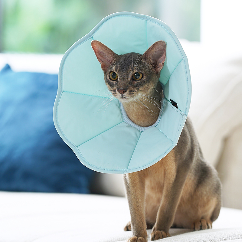 Zooland Elizabethan Collar Light Blue  (XS/S/M/L)