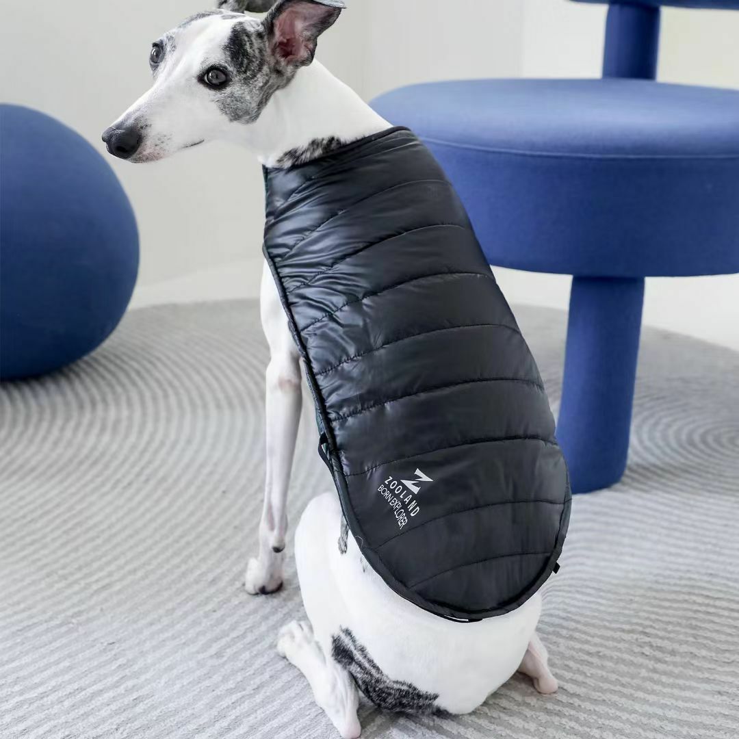 Zooland Dog Winter Jacket  (S/M/L/XL/XXL)
