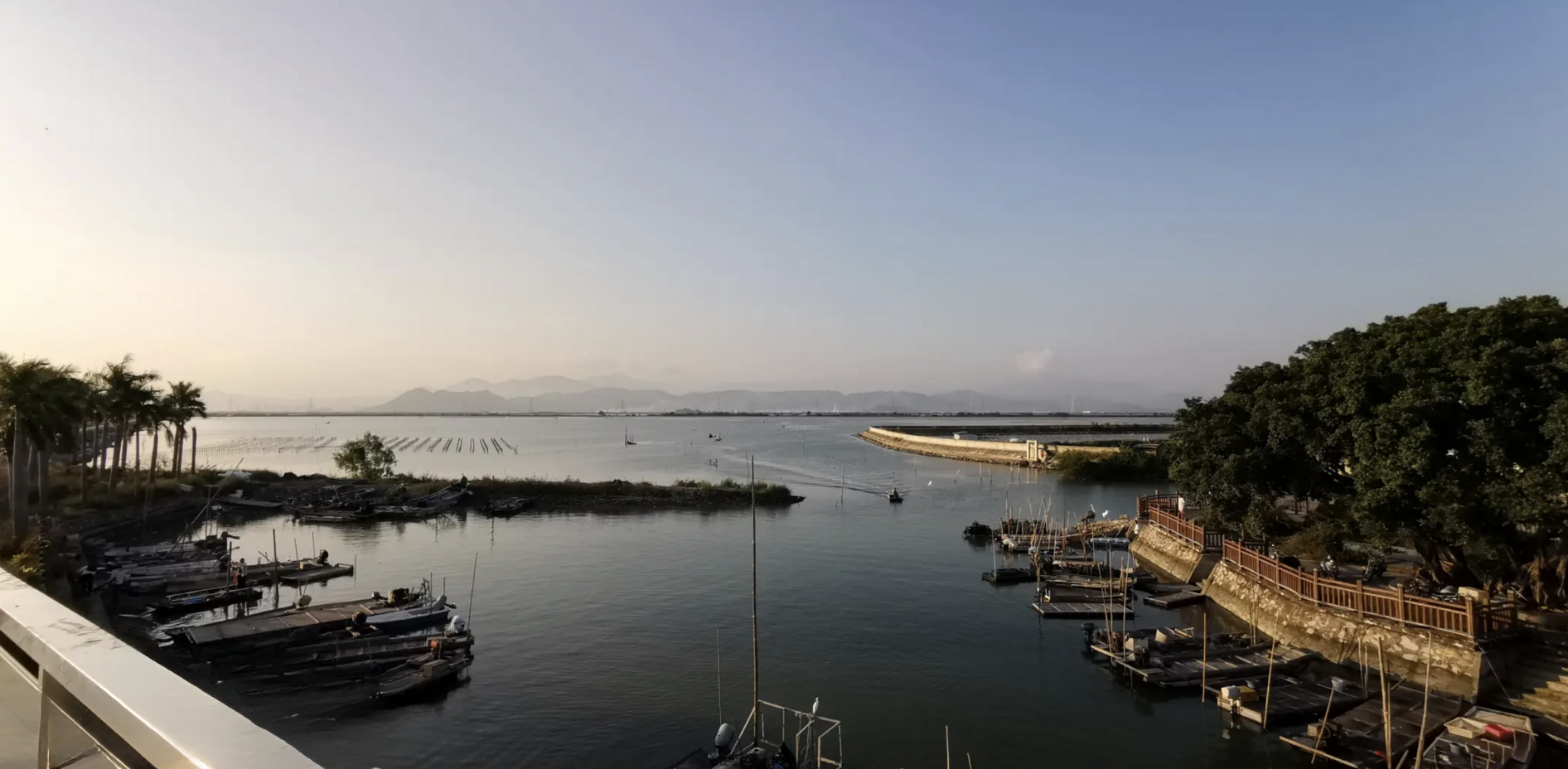 晨洲村以生蠔（牡蠣）養殖聞名，素有「中國蠔鄉」的美稱