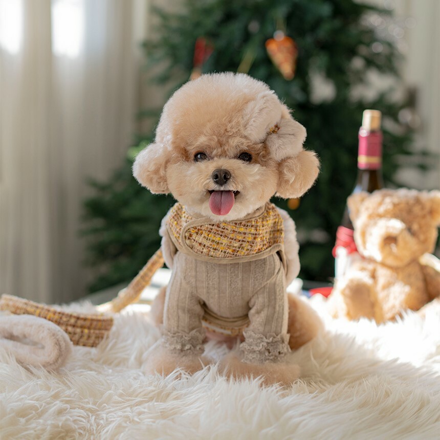 OPAAAP COCO冬季毛呢胸背 芥末黃