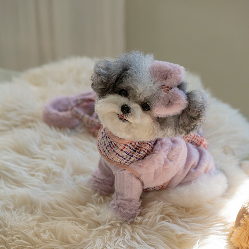 OPAAAP COCO冬季毛呢胸背 紫紅色