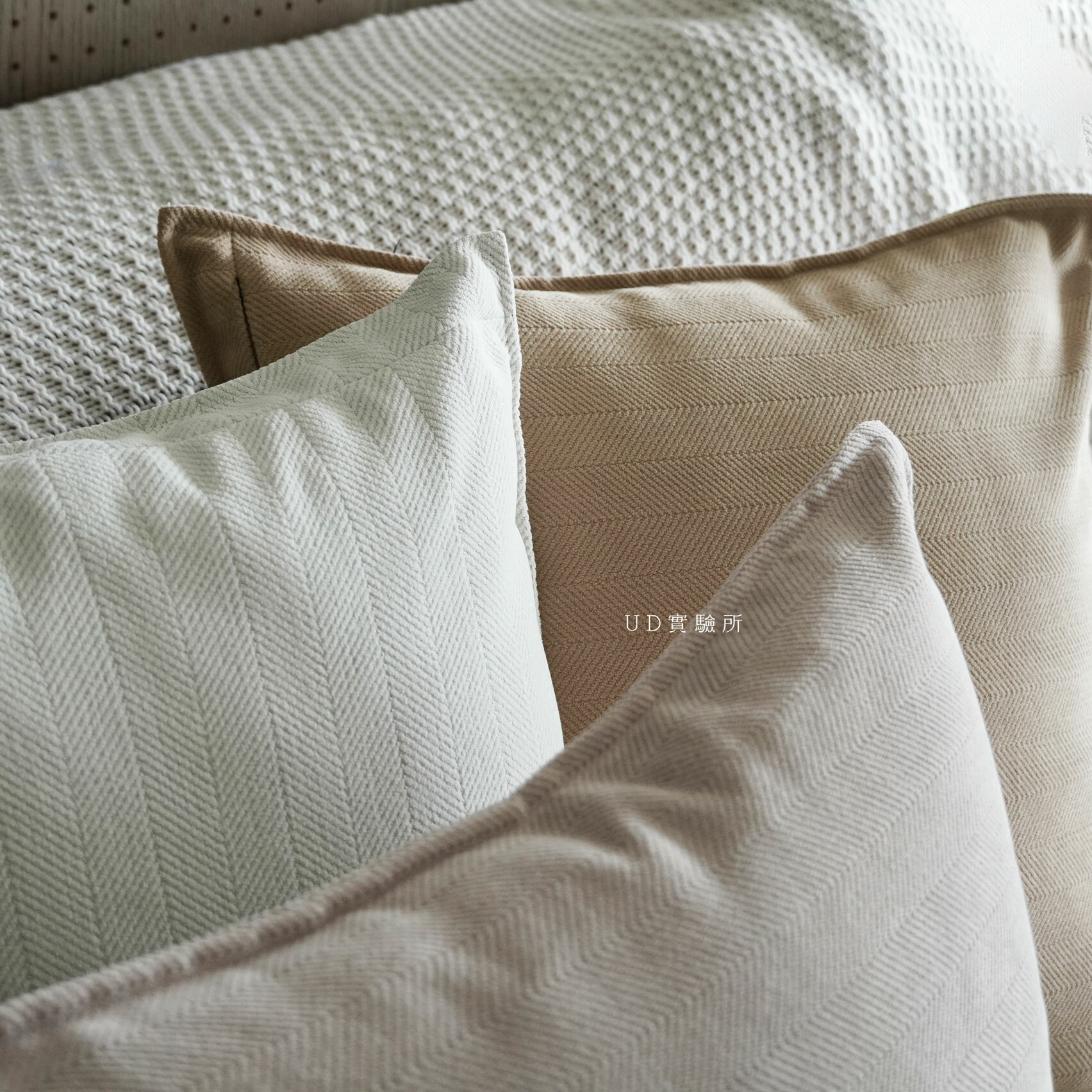 厚磅雪尼爾抱枕套組
